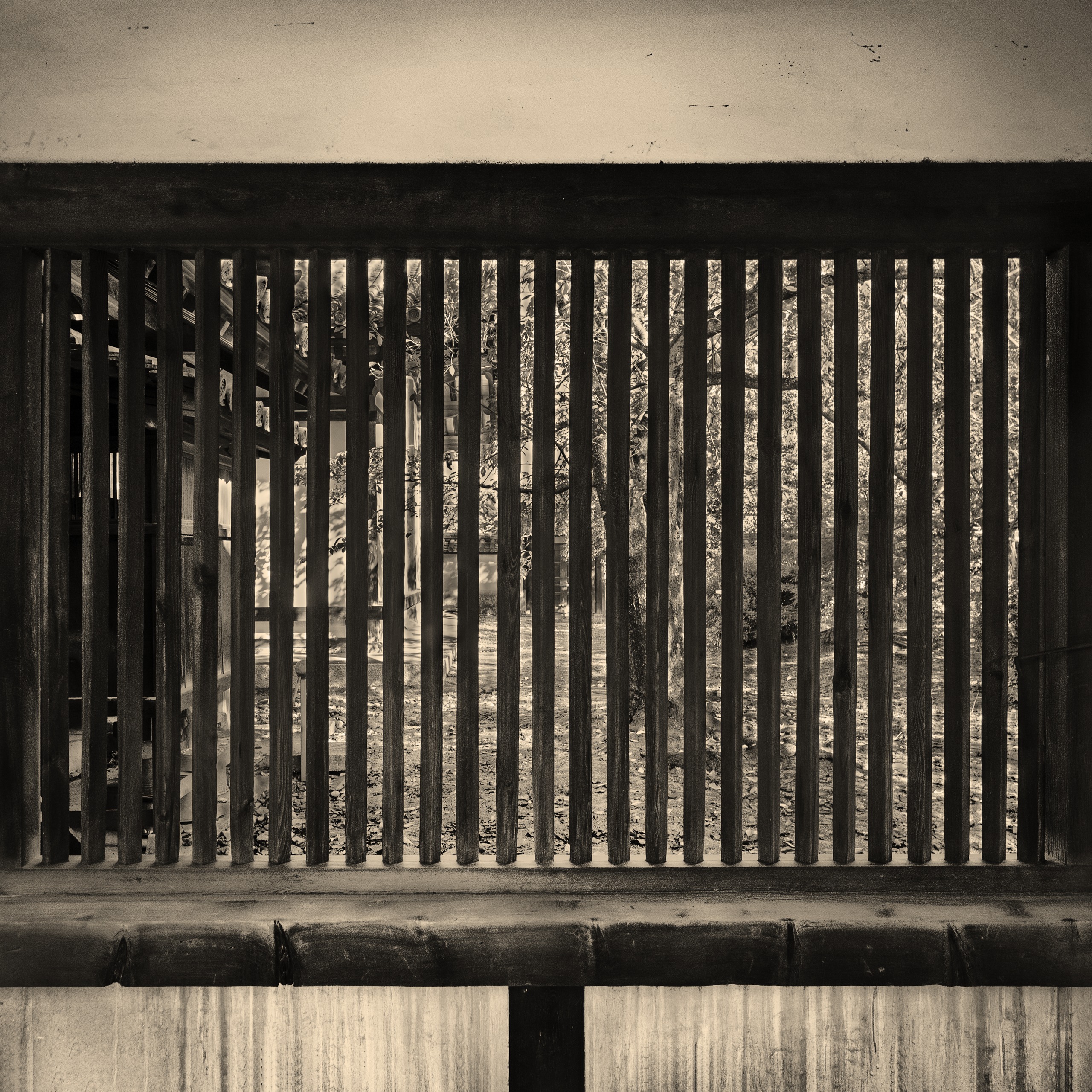 法隆寺回廊のレトロなアルビューメンプリントのモノクロ写真, Horyuji, albumen print, Kairou, monochrome, デジタルネガ